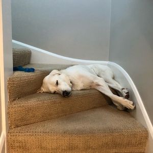 Meet your Posher, Gordon